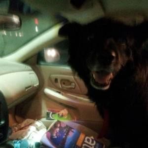 Meet your Posher, Jeffrey